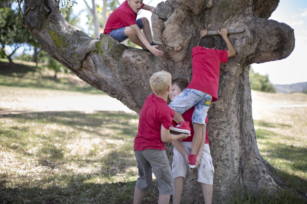 - Children climbing