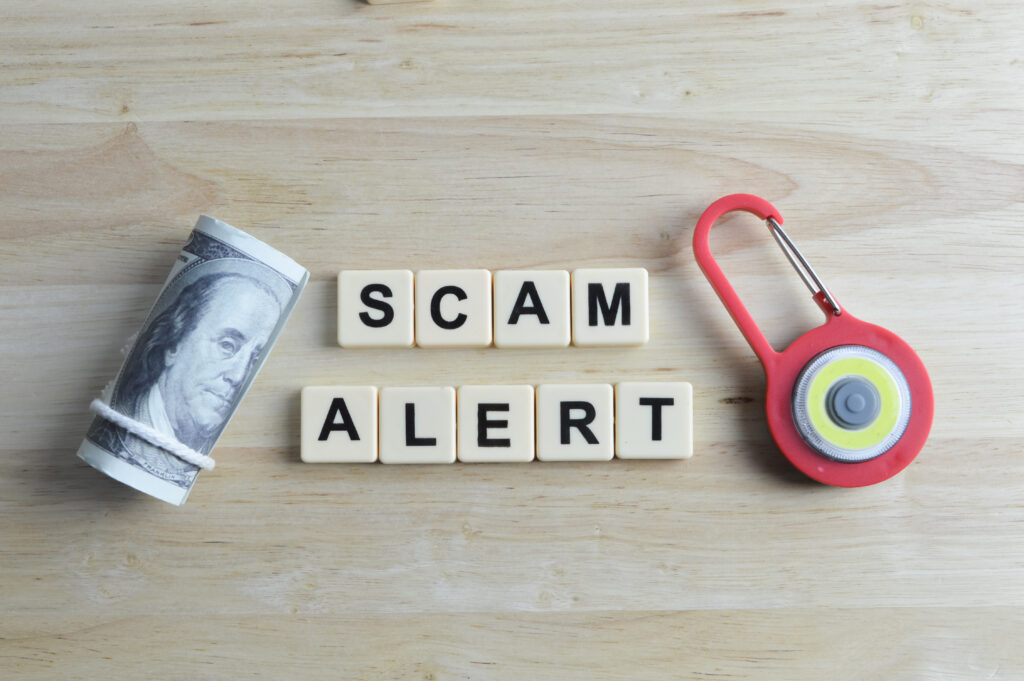 Scam alert warning on laptop screen while searching for online work from home jobs.