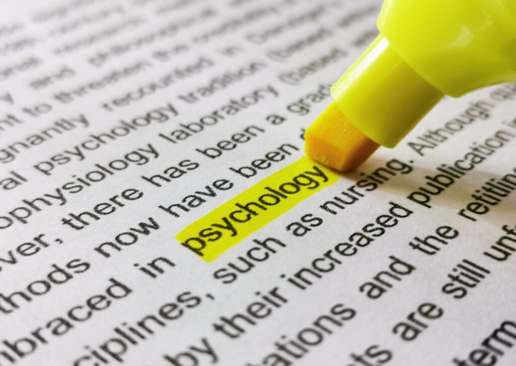 Highlighting new words to learn English faster and improve vocabulary
