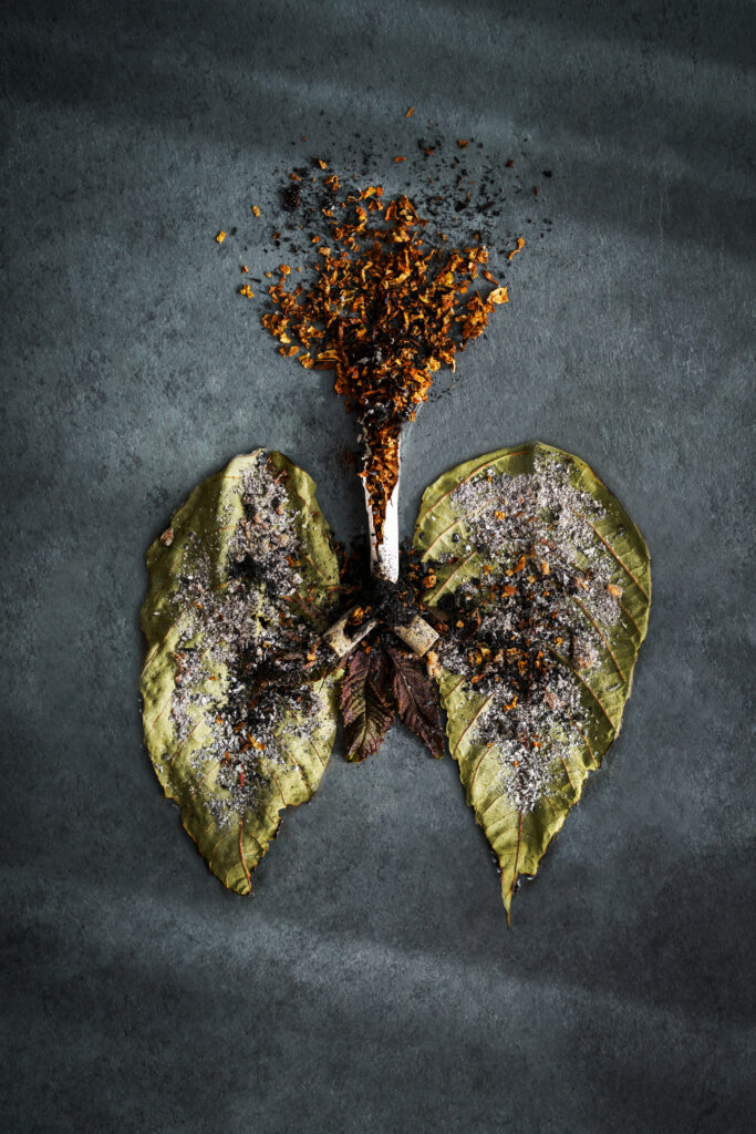 Image of a black lung showing the severe damage caused by cigarette smoking.